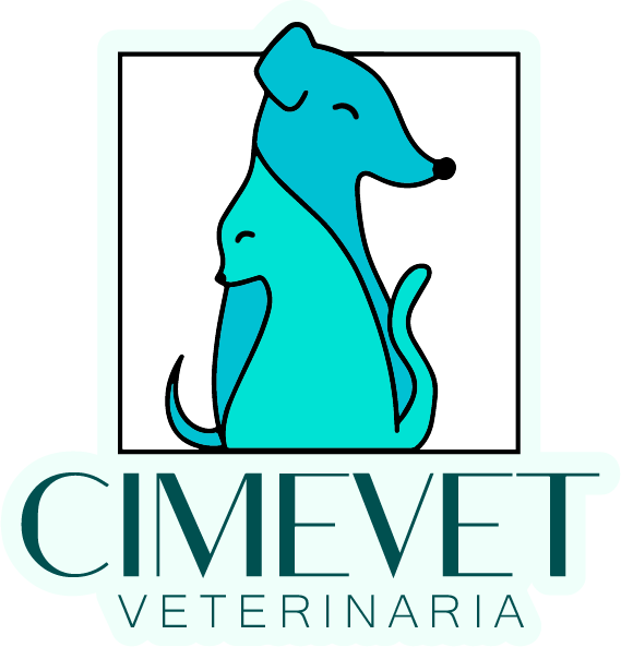branding logo